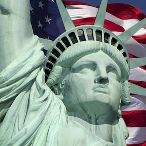 Statue of Liberty - 36” x 42&quot; Panel by David Textiles - with free US Shipping