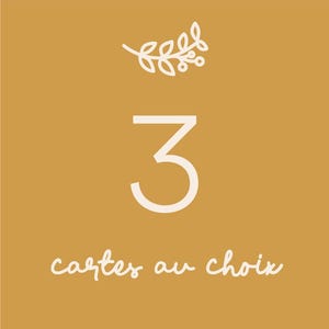 Assortiment de cartes de vœux - Choisissez 3 cartes – Ensemble de cartes de vœux