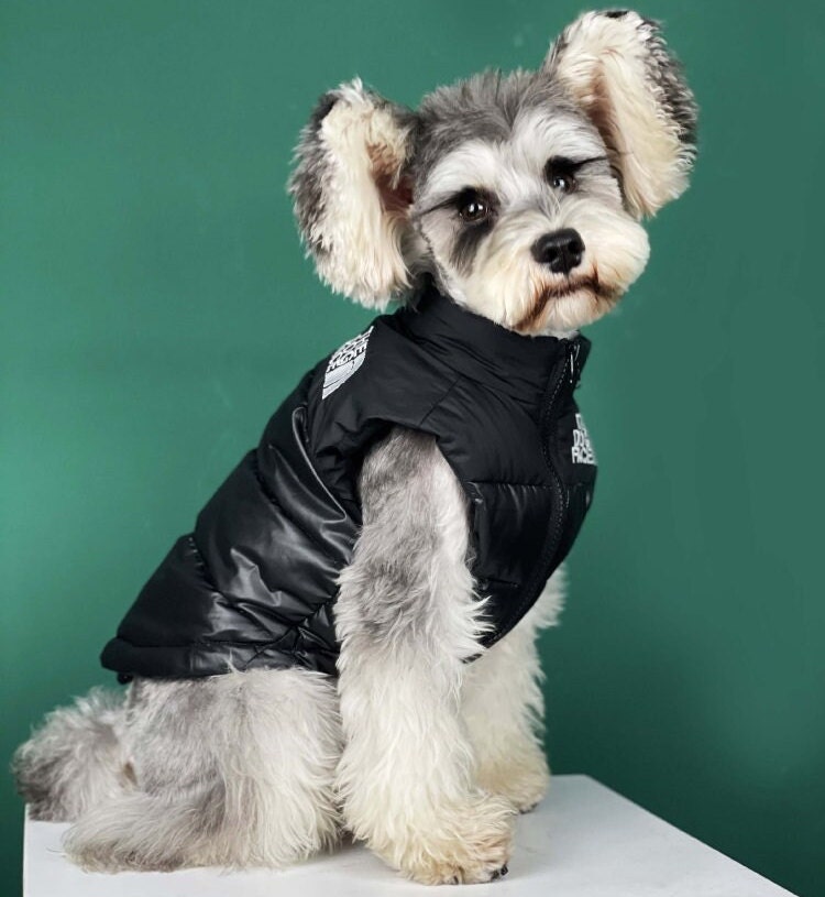 Billy The Kid, Brown Vegan Leather Dog Jacket, Winter Dog