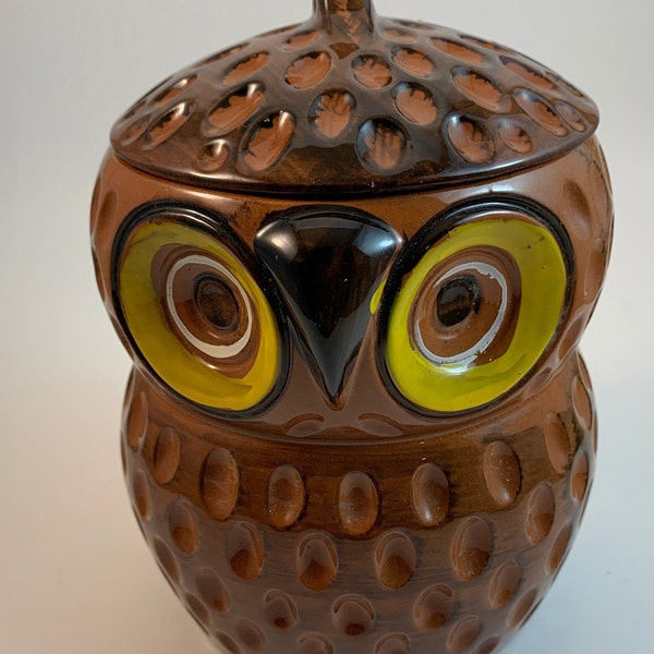 Vintage Owl Canister