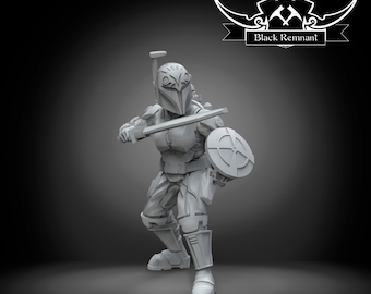 Crusader Princess - 35mm SW Legion - 3D Resin Printed Miniature