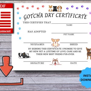 Gotcha Day Certificate, Pet Adoption Certificate, Puppy Adoption, Dog Birthday Party, Adopt a Pet, Instant Download, Digital, PRINTABLE, PDF