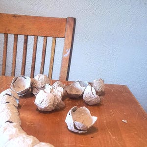May include: A collection of light beige, textured, molded pulp egg carton cups arranged in a curved line and scattered across a surface. The individual cup segments are separated from the original carton, showing a rough, fibrous, and porous material.