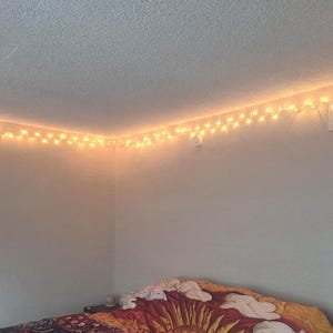 color cup string lights