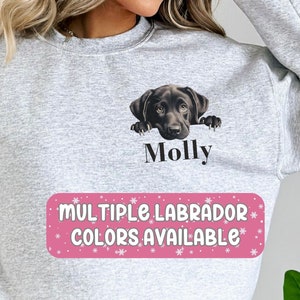 Personalized Labrador Sweatshirt, Custom Chocolate Lab Shirt, Yellow Lab Mom, Christmas Gift for Silver Lab Lover, Labrador Retriever