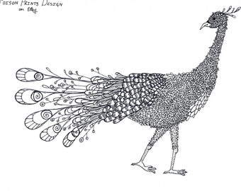 Peacock Coloring Page