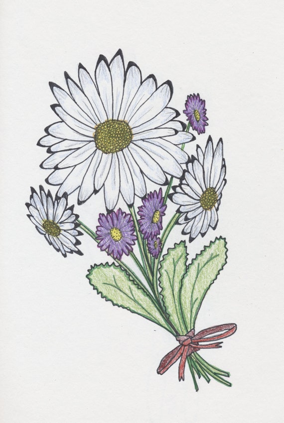 Daisies and Aster Bouquet Daisies and Aster Bouquet