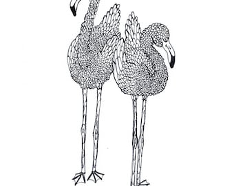 Flamingos Coloring Page