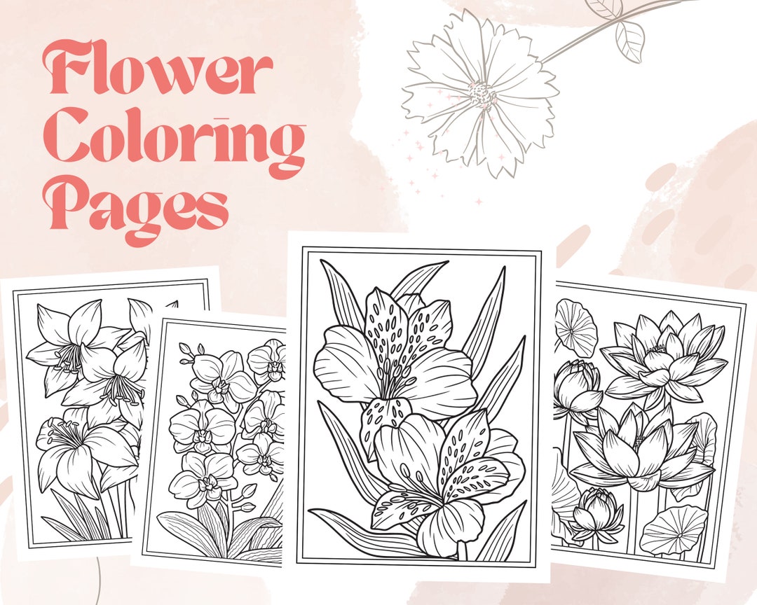 20 Flower Coloring Pages, Printable Adult Coloring Pages, Digital Download, PDF - Etsy
