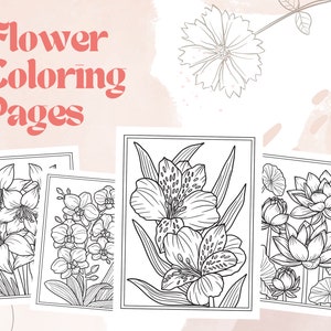 20 Flower Coloring Pages, Printable Adult Coloring Pages, Digital Download, PDF