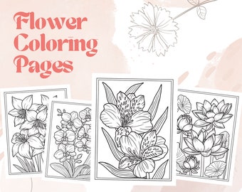 20 Flower Coloring Pages, Printable Adult Coloring Pages, Digital Download, PDF