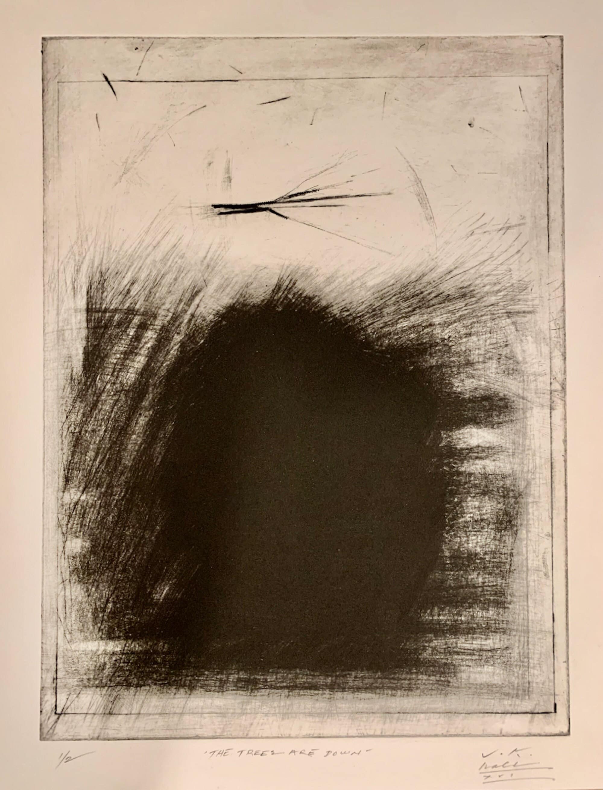 Signed Intaglio Aquatint: Abstract 'The Trees Are Down' Etching