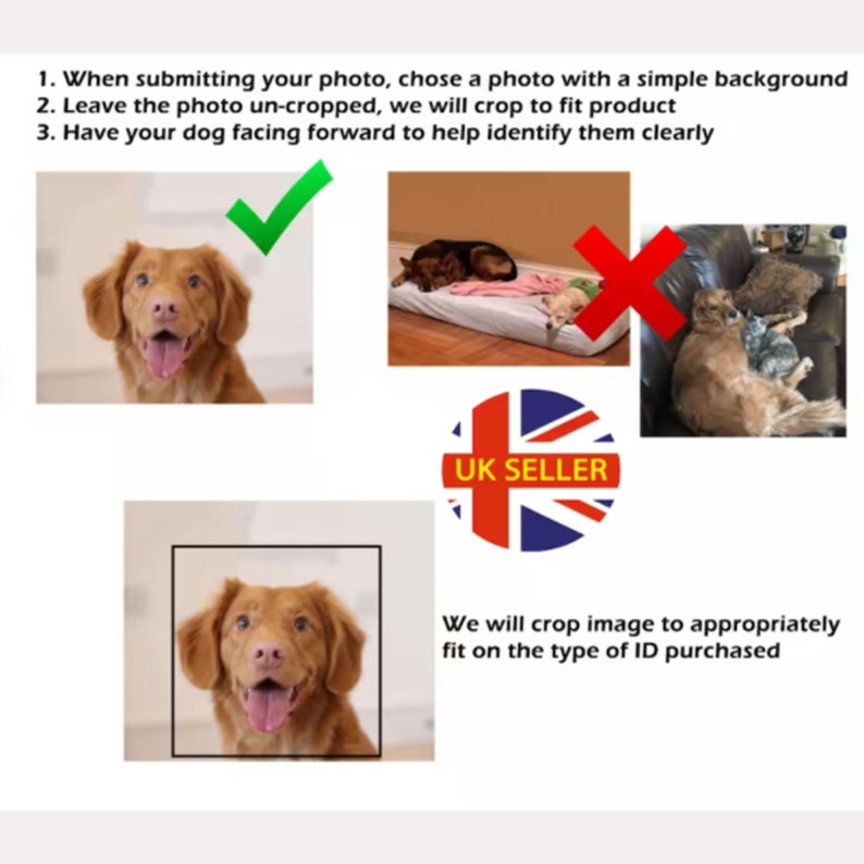 Emotional Support Dog Card With Equality & Human Rights Etsy