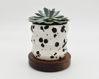 5 inch Plant Stand, Vase Coaster, Round Platform, Walnut or Maple Circle
