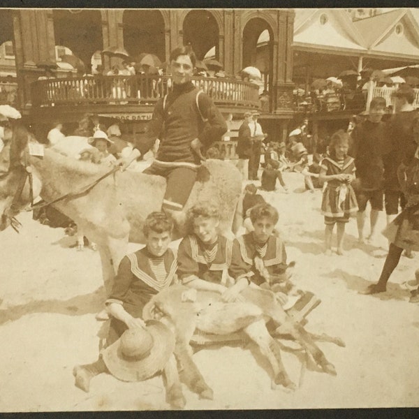 Authentic Antique Photo Victorians on Beach Swimsuits Bathing Suits Donkeys Atlantic City NJ |Junk Journal Smash Book Scrapbook Mixed Media