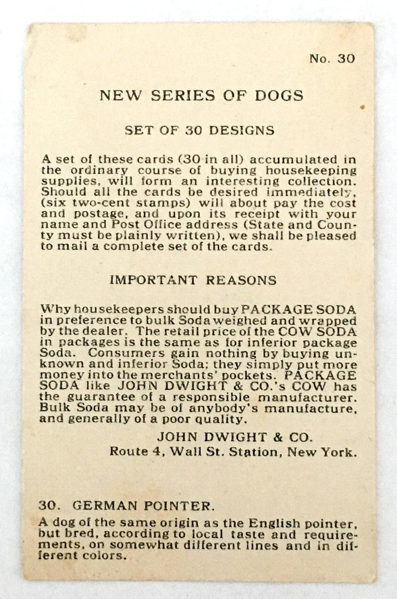 Back of German Pointer trade card.