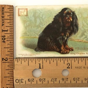 Closeup of one of the trade cards with rulers showing 2"x3" measurement.