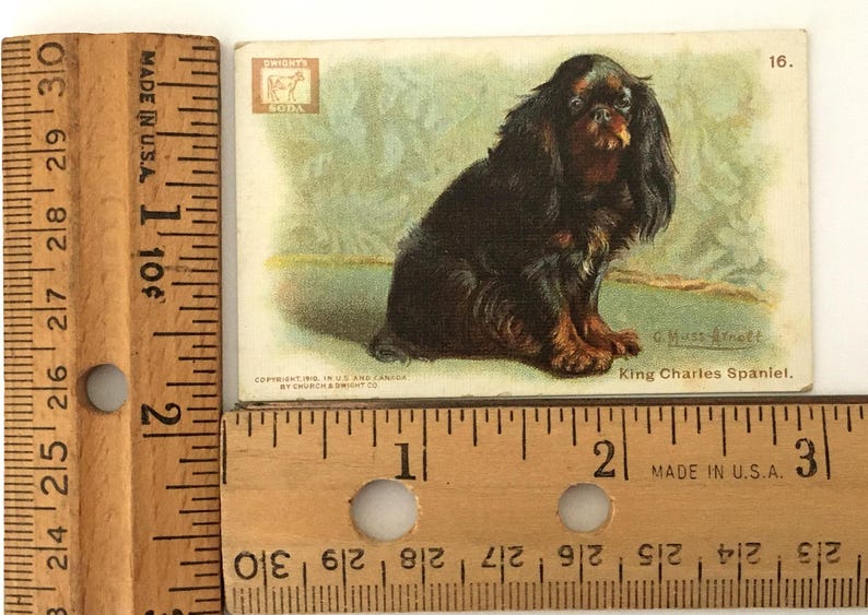 Closeup of one of the trade cards with rulers showing 2"x3" measurement.