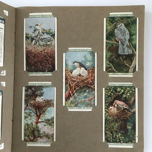 Authentic Vintage 1925 Wills's Cigarette Picture Card Album Complete, Life in the Tree Tops Birds Owls | Smash Book Junk Journal