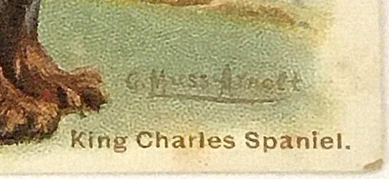 Closeup of dog identification and artist's signature.