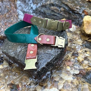 Quick Release BioThane collar