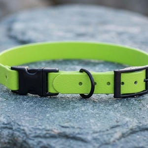 May include: A bright lime green pet collar featuring a black plastic side-release buckle, a black metal D-ring for leash attachment, and a black metal prong buckle adjustment system with multiple pre-punched holes along the strap length.