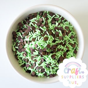 Faux Mint Chocolate Chip Sprinkles, Fake Mint Chocolate Chip Sprinkle Mix, Fake Bake, Slime