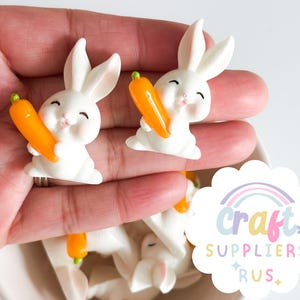 5 Stück Harz Hase Flachboden Charme, Osterhase Charms, Osterhase Cabochons, Ostern Charms, Ostern Cabochons, Osterhase mit Karotte