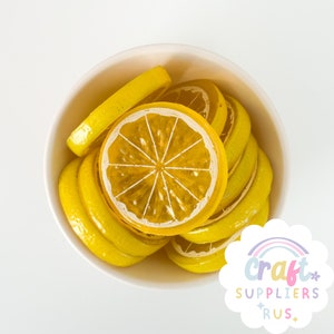 Realistic Lemon Slice Cabochon, Lemon Slice Cabochons, Fake Bake