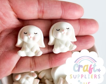 5pc Resin Bunny Flatback Charms, Easter Cabochons, Spring Embellishments