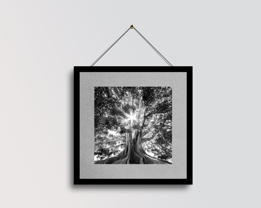 Tree Wall Art, Square Print, Forest Print, Landscape Art, Nature Wall