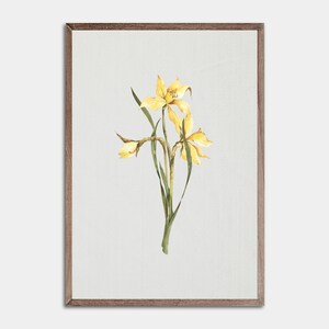 Spring Daffodils Printable Wall Art, Yellow Daffodils, Springtime Home Decor, Spring Flowers, Springtime Wall Art, Daffodil Decor