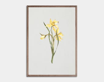 春の水仙のプリント可能な壁アート、黄色い水仙、春のホームデコレーション、春の花、春の壁アート、水仙の装飾