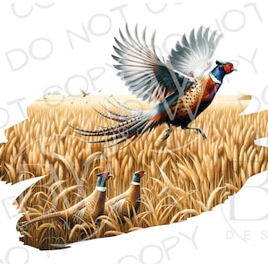 Cazador de faisán PNG / Sublimación de cazador de faisán PNG / Sublimación de caza de faisán png / Sublimación de faisán Ringneck png / Perro de caza