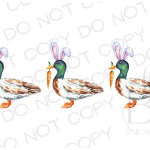 May include: Three watercolor illustrations of ducks wearing bunny ears and holding carrots in their beaks. The ducks are brown, green, and white with orange beaks. The bunny ears are pink and white.