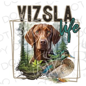 Vizsla Life PNG / Descarga digital / Sublimación de caza de patos / Sublimación de patos / Cazador de patos png / Perro de caza png / Sublimación Vizsla