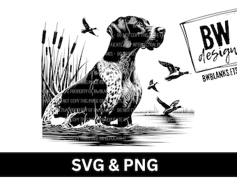 May include: Black and white illustration of a German Shorthaired Pointer dog standing in a marsh with reeds and flying ducks. The dog is looking to the right. The text "BW designs BWBLANKS.ETSY.COM" is in the upper right corner of the image.