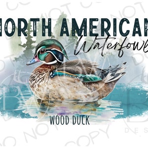 Wood Duck PNG | Digital Download | Duck Hunting Sublimation PNG | Mallard Duck Sublimation PNG | Duck Hunter Sublimation png