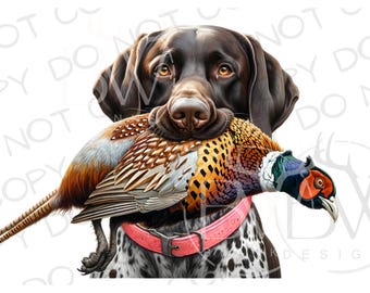Pheasant Hunter PNG | Pheasant Hunter Sublimation PNG | Pheasant Hunting Sublimation png | Ringneck Pheasant Sublimation png | Hunting Dog