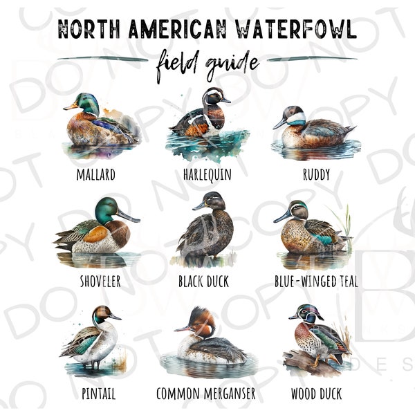 North American Waterfowl Field Guide PNG | Digital Download | Duck Hunting Sublimation PNG | Duck Blind PNG | Duck Hunter Sublimation png