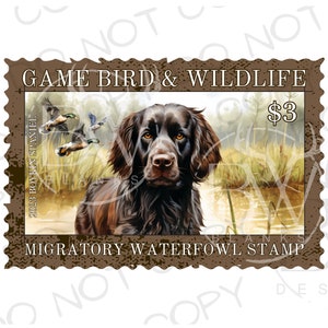 Boykin Spaniel PNG | Digital Download | Duck Hunting Sublimation PNG | Hunting Dog Sublimation PNG | Duck Hunter Sublimation png