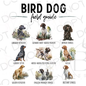 Sublimación de guía de campo de perro pájaro PNG / Descarga digital / Sublimación de caza de patos PNG / Perro de caza PNG / Sublimación de cazador de patos png