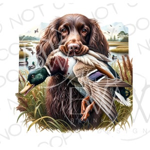 Boykin spaniel duck hunting sales