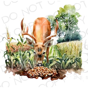 May include: A watercolor painting of a brown deer with antlers eating corn in a field. The deer is in the foreground, and the field is in the background. The painting is done in a realistic style.