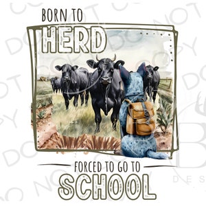 Geboren zur Herde PNG | Digitaler Download | Cattle Viehzüchter Sublimation PNG | Blaue Heeler Sublimation png | Schule Sublimation | Hüte Hund png