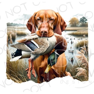 Vizsla Perro de caza PNG / Descarga digital / Sublimación de caza de patos PNG / Sublimación de perros de caza / Sublimación de cazador de patos png