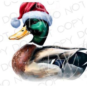 Christmas Duck PNG | Digital Download | Santa Duck png | Christmas Duck Hunting PNG | Mallard Duck Sublimation PNG | Christmas Sublimation