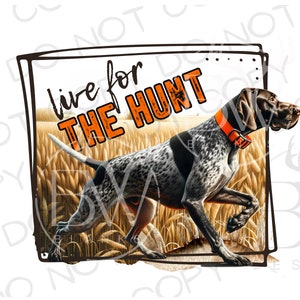 May include: A black and white hunting dog runs through a field of tall grass. The dog is wearing an orange collar. The text "live for the hunt" is written in orange letters on a brown sign.