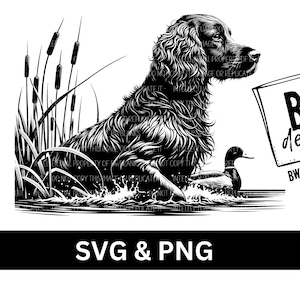 Boykin Spaniel Jagdhund SVG | Digitaler Download | Entenjagd SVG | Jagdhund Sublimation PNG | Entenjäger png | Entenjagd png