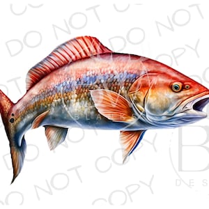 Redfish Sublimation PNG | Digital Download | Fishing Sublimation PNG | Saltwater Fishing PNG | Saltwater Sublimation png | Redfish png